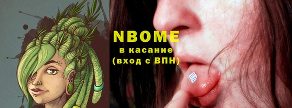 индика Нефтекумск