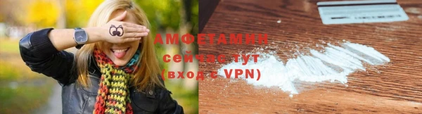 спайс Нея