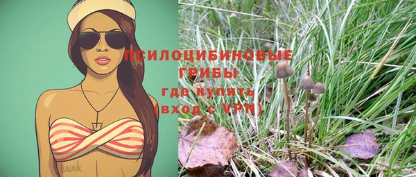 спайс Нея