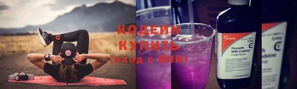 индика Нефтекумск