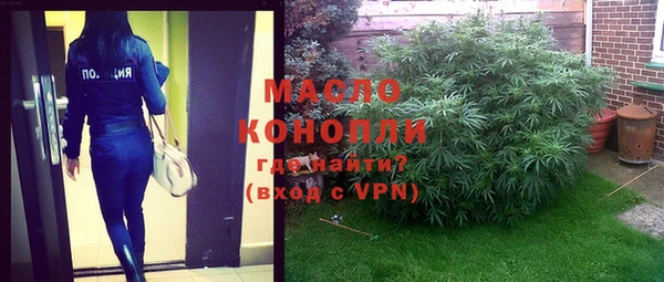 индика Нефтекумск