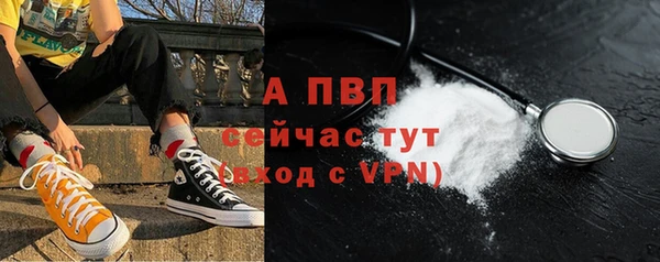 спайс Нея