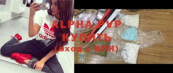 индика Нефтекумск