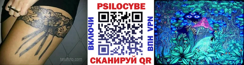 Псилоцибиновые грибы Cubensis  где продают   Починок 