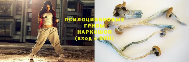 Галлюциногенные грибы Psilocybe  наркошоп  hydra ССЫЛКА  Починок 